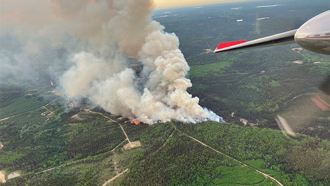 Wildfire in Peace River, B.C., quadruples in size after evacuation order